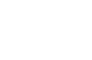 Strategy, Rollout  and Engagement 