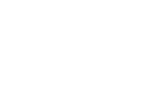 Multilingual Translations