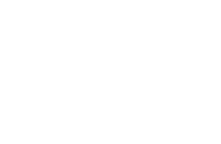Strategy, Rollout  and Engagement 